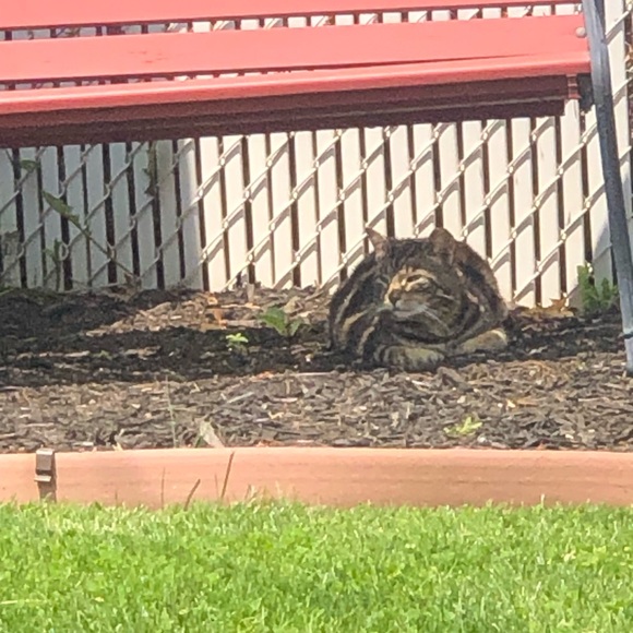 Meet your Posher, Mandi - Picture 7 of 7